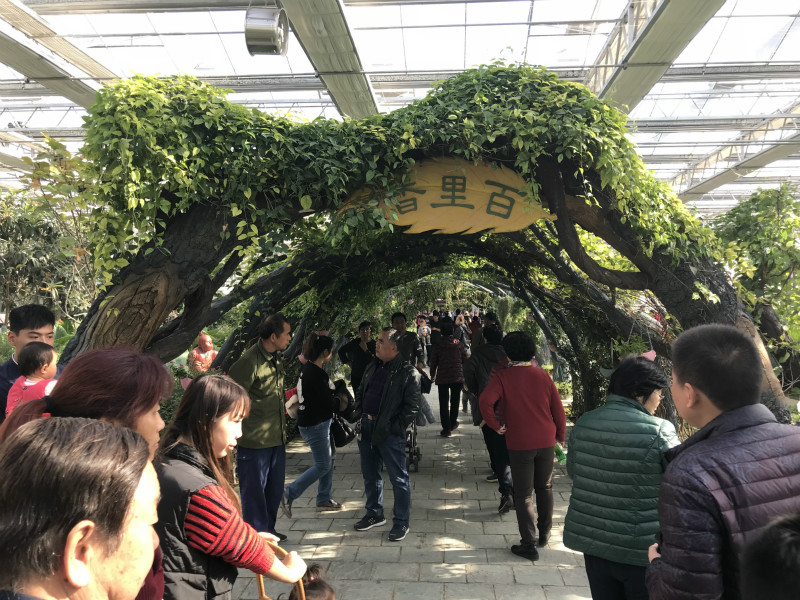 南和農業(yè)嘉年華溫室項目