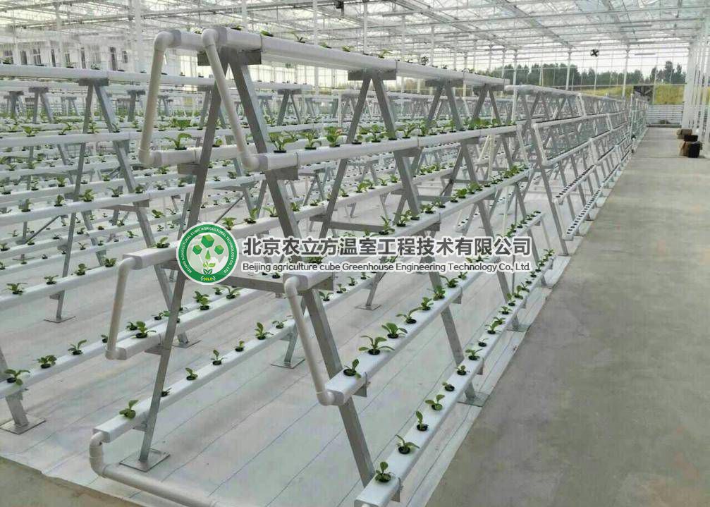 立體無(wú)土栽培設(shè)備，菜居然能種在空中！ 